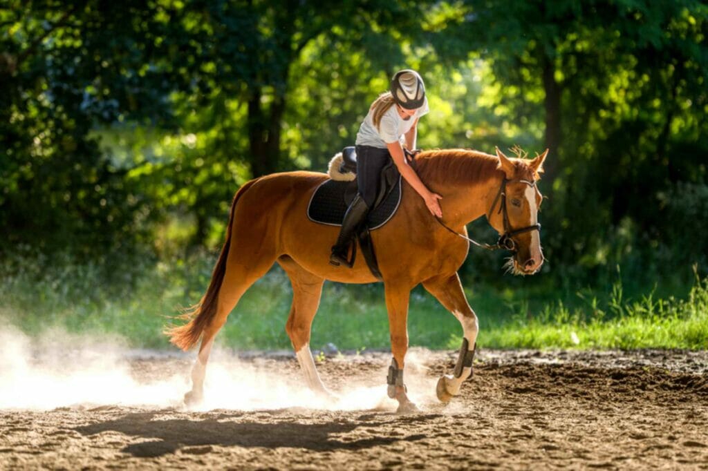 reiten